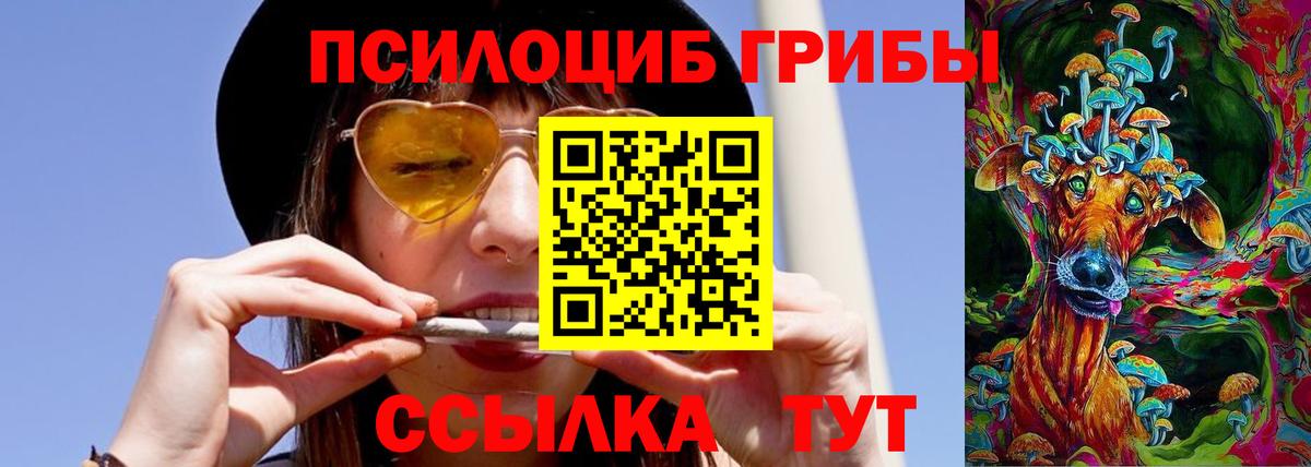 Зеленодольск  Псилоцибиновые грибы Psilocybine cubensis  Галлюциногенные грибы прущие грибы  Вход с VPN 